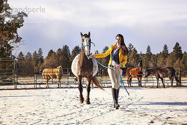 Zuversichtliche Frau geht mit Pferd auf schneebedecktem Feld
