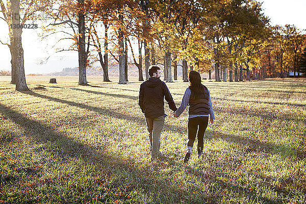 Rückansicht eines Paares  das sich beim Gehen auf dem Feld an den Händen hält