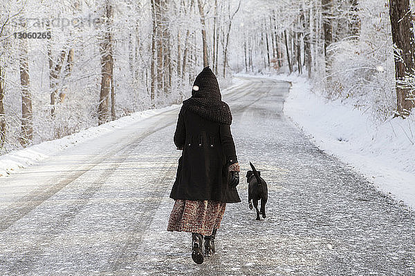 Rückansicht einer Frau  die im Winter mit Hund auf der Straße spazieren geht