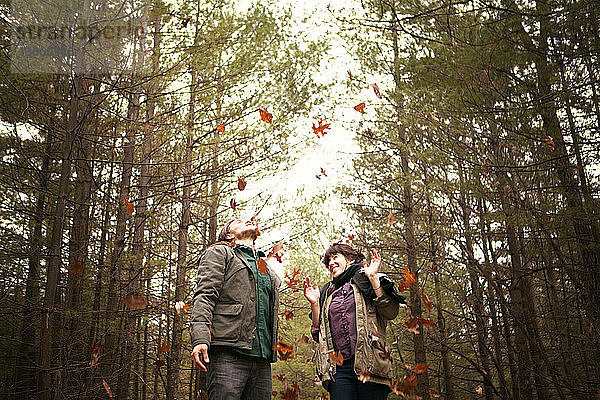 Tiefblick auf ein Paar  das den Wald genießt