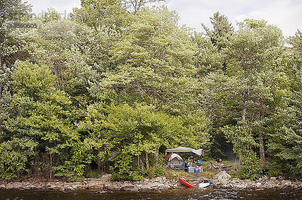 Zelt inmitten von Bäumen auf einem Feld am See