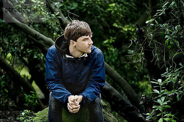Nachdenklicher Mann schaut weg  während er auf einem Felsen im Wald sitzt