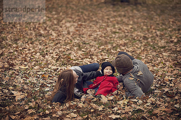 Eltern mit Baby entspannen sich auf dem Feld im Park