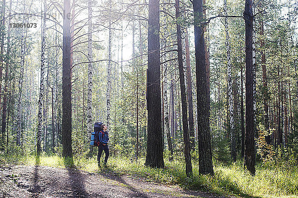 Männlicher Wanderer mit Rucksack geht im Wald an Bäumen vorbei
