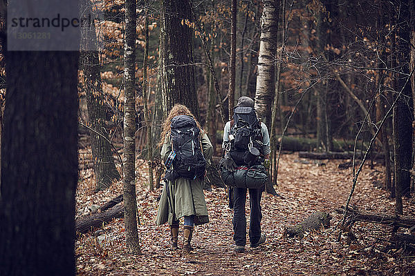 Rückansicht eines im Wald spazieren gehenden Paares