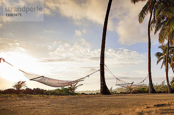 An Palmen gebundene Hängematten am Strand gegen den Himmel bei Sonnenuntergang
