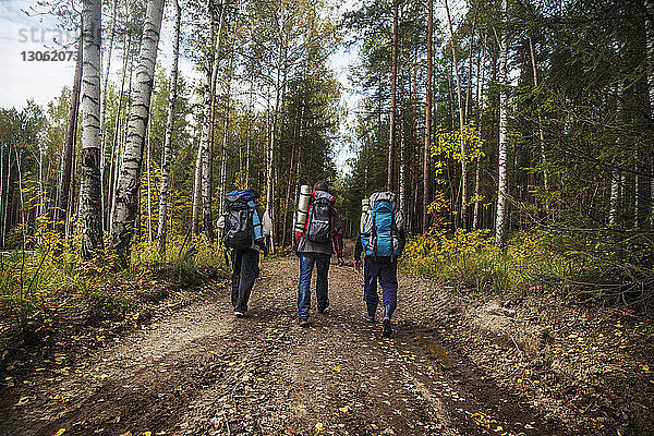 Rückansicht von männlichen Freunden  die einen Rucksack tragen  während sie auf einem Feldweg im Wald gehen