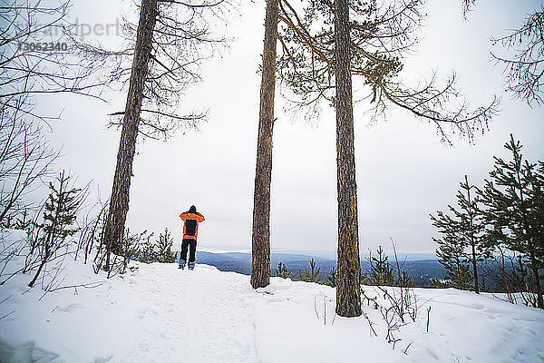 Rückansicht eines Wanderers  der im Winter auf einem Berg steht