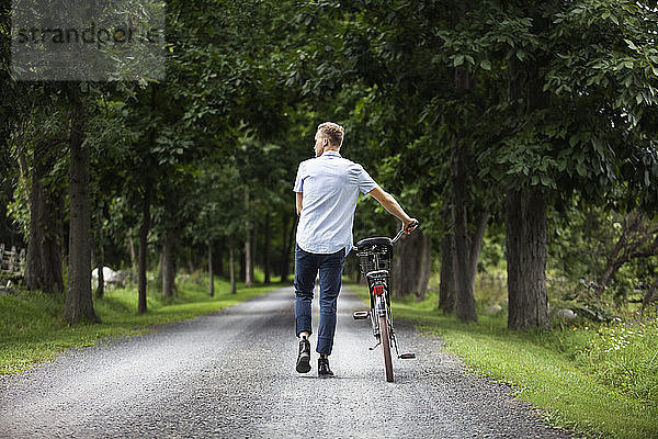 Rückansicht eines Mannes  der mit dem Fahrrad im Wald auf der Straße geht