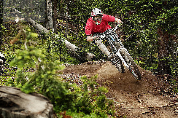 Mountainbiker auf dem Fahrrad im Wald