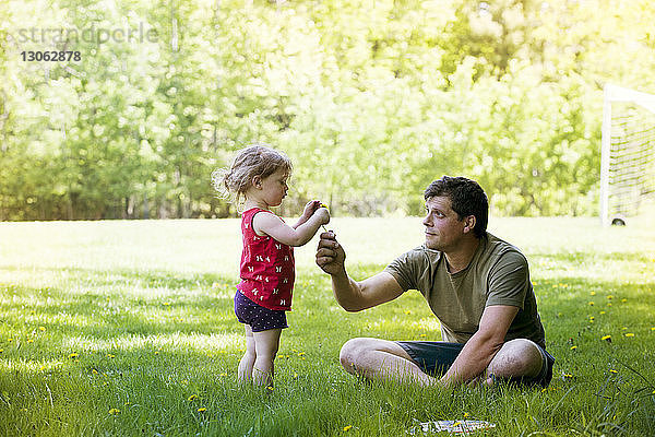 Vater schenkt der Tochter eine Blume  während er auf einem Grasfeld im Park sitzt