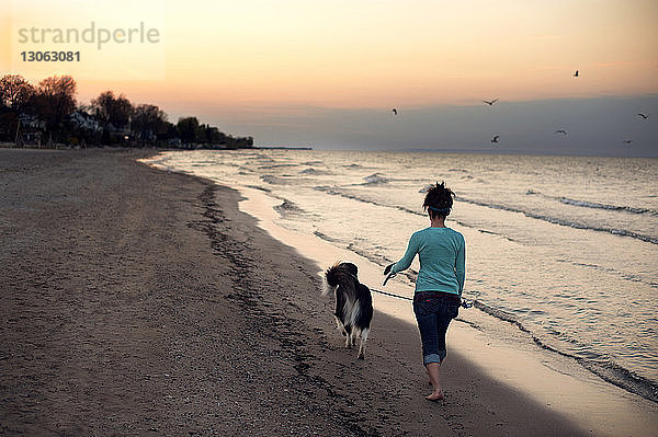 Rückansicht einer Frau  die bei Sonnenuntergang mit Hund am Meeresufer spazieren geht