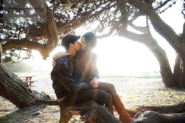 Junges Paar küsst sich  während es auf einem umgefallenen Baum auf dem Feld sitzt