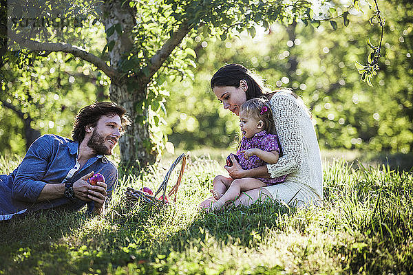 Glückliche Familie mit Apfelkorb im Obstgarten
