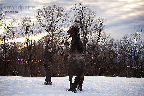 Mann trainiert Pferd auf Schneefeld