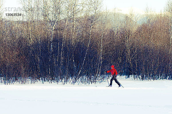 Frau in voller Länge beim Skifahren auf schneebedecktem Feld mit kahlen Bäumen