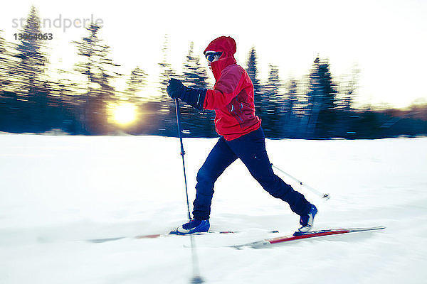 Skifahren in voller Länge auf schneebedecktem Feld mit kahlen Bäumen