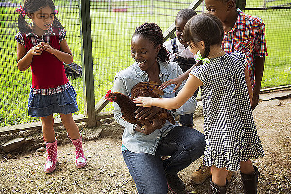Kinder schauen Lehrer an  der eine Henne trägt