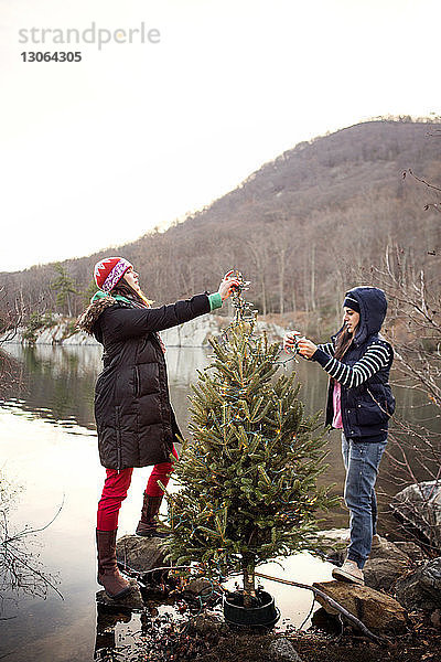 Freunde schmücken Weihnachtsbaum am See bei klarem Himmel