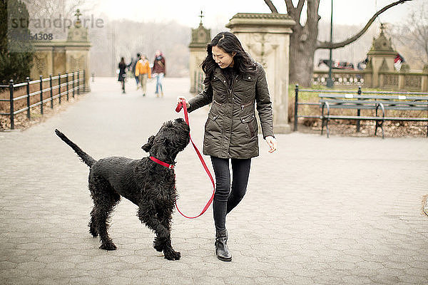 Glückliche Frau betrachtet Hund beim Spaziergang auf dem Fußweg