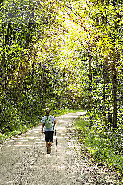 Rückansicht eines Wanderers mit Rucksack  der auf einem Wanderweg inmitten von Bäumen geht