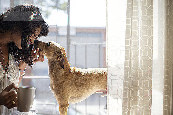 Verspielte Frau mit Hund sitzt zu Hause auf dem Fensterbrett