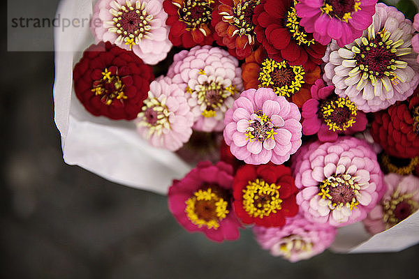 Hochwinkelansicht von rosa Zinnien im Strauss im Blumenladen