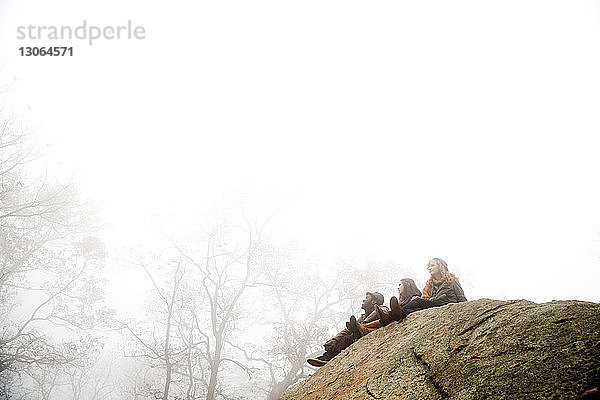 Freunde schauen weg  während sie auf einem Felsen im Wald sitzen