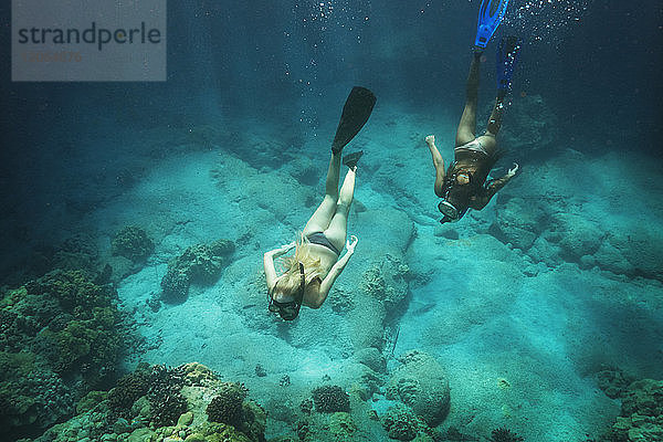 Unter Wasser schwimmende Freunde im Hochwinkel