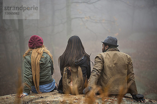 Rückansicht von Freunden  die auf einem Felsen im Wald sitzen