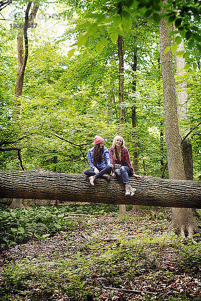 Freunde unterhalten sich  während sie auf einem Baumstamm im Wald sitzen