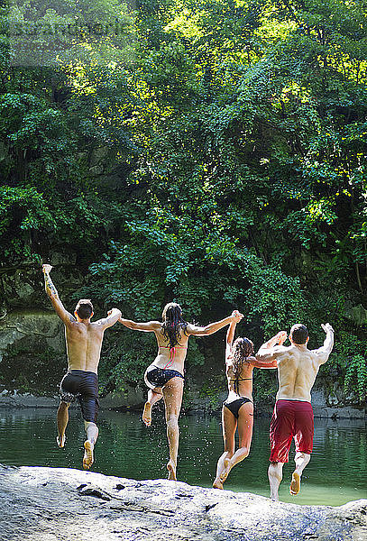 Rückansicht von Freunden  die beim Sprung von Felsen im See die Hand halten