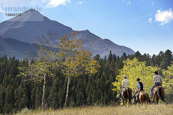 Freunde reiten Pferd auf Grasfeld gegen blauen Himmel