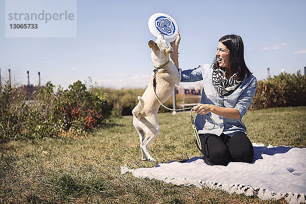 Frau gibt Frisbee an verspielten Hund im Park gegen den Himmel