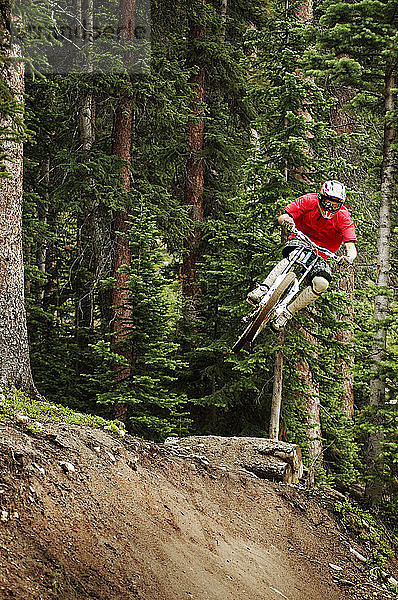 Mountainbiker beim Stunt im Wald