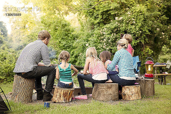 Rückansicht der Familie  die im Sommerlager auf Baumstümpfen sitzt