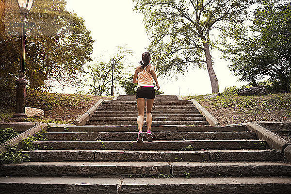 Rückansicht einer Frau  die auf Stufen im Park trainiert