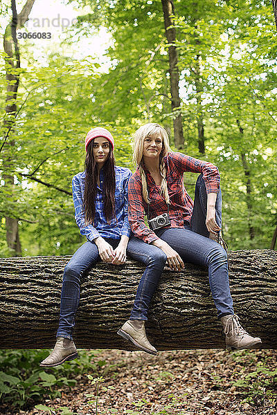 Porträt von Frauen auf einem Baumstamm im Wald sitzend