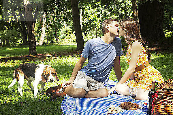Beagle mit sich küssendem Paar im Park