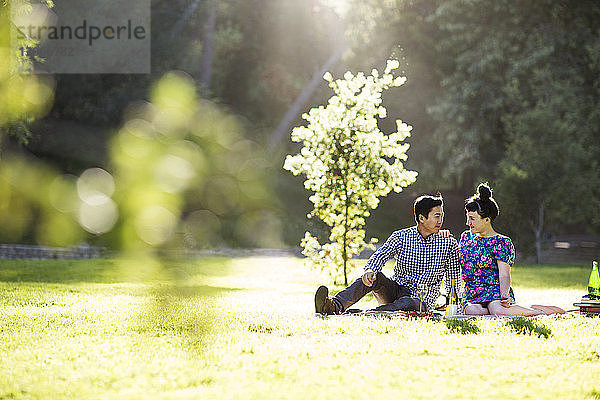 Romantisches Paar sitzt auf Grasfeld