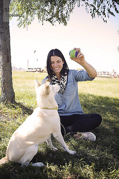 Glückliche Frau zeigt spielenden Hunden im Park den Ball gegen den Himmel
