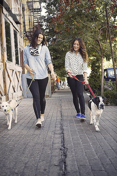 Lächelnde Freunde beim Spaziergang mit Hunden auf dem Bürgersteig in der Stadt