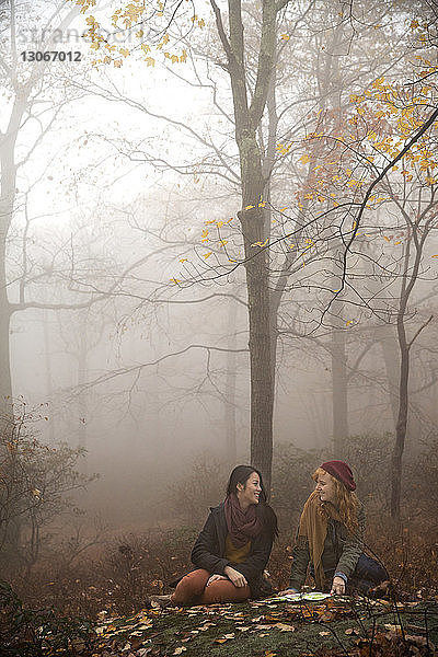 Lächelnde Freunde mit einer Landkarte  die im Wald sitzen