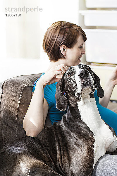 Schwangere Frau mit Hund sitzt zu Hause auf dem Sofa