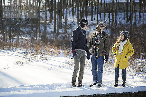 Freunde unterhalten sich  während sie auf einem schneebedeckten Feld stehen