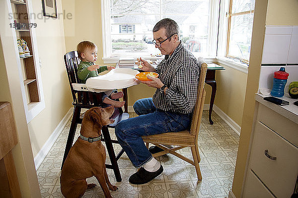 Mann sieht Hund beim Füttern eines auf einem Hochstuhl sitzenden Jungen an