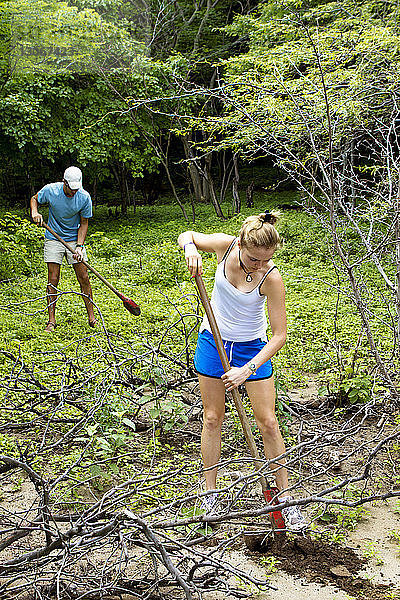 Freiwillige graben Erde aus  während sie auf einem Feld im Wald stehen