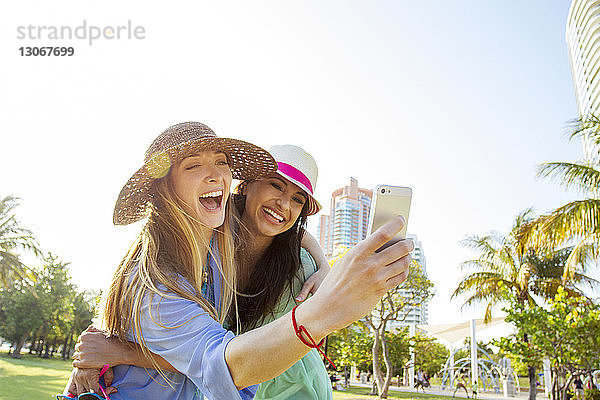 Fröhliche Freunde  die im Park stehen und Selfie nehmen