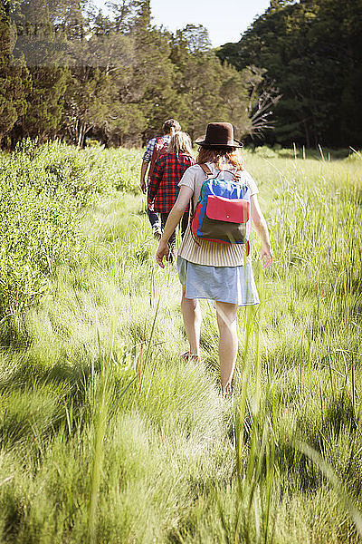 Rückansicht von Freunden  die auf einem Grasfeld im Wald spazieren