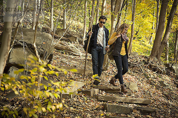Ein Paar  das im Wald eine Treppe hinuntergeht